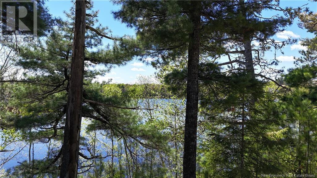 Large Waterfront Lot Route 510, Browns Yard, New Brunswick  E4T 4X2 - Photo 22 - NB117048