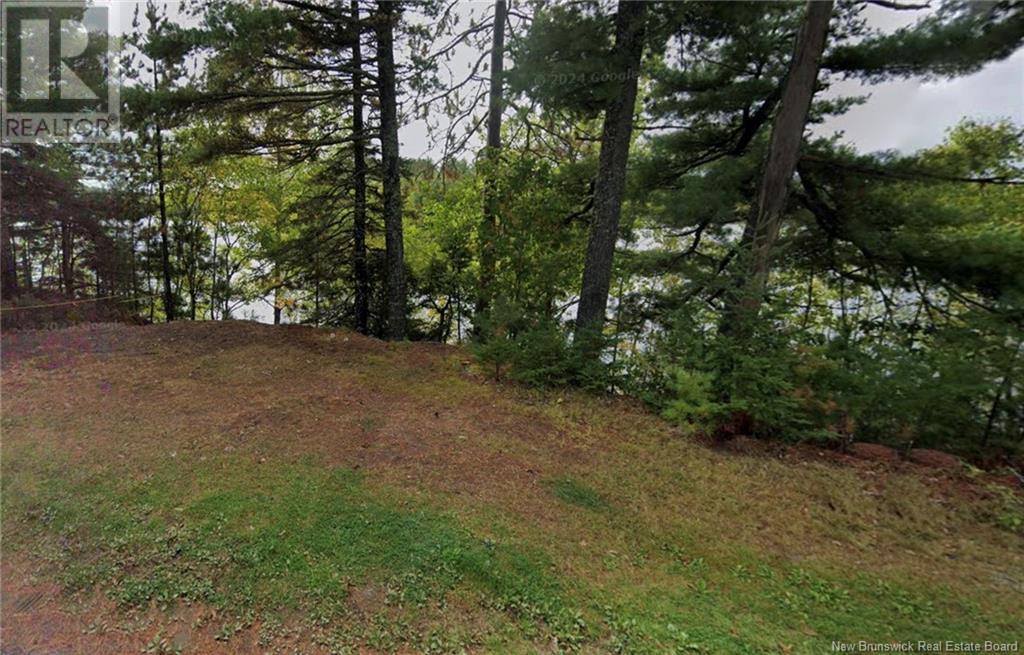 Large Waterfront Lot Route 510, Browns Yard, New Brunswick  E4T 4X2 - Photo 6 - NB117048