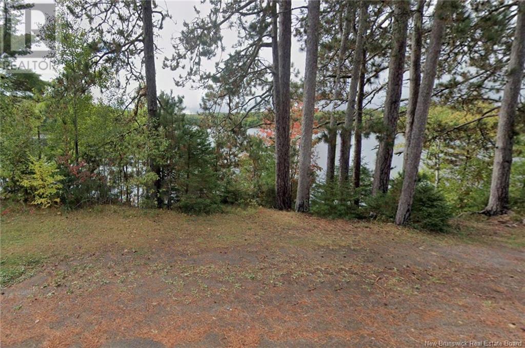 Large Waterfront Lot Route 510, Browns Yard, New Brunswick  E4T 4X2 - Photo 7 - NB117048