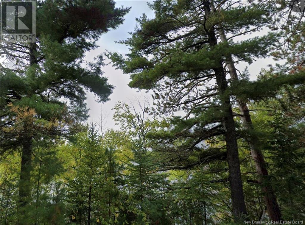 Large Waterfront Lot Route 510, Browns Yard, New Brunswick  E4T 4X2 - Photo 8 - NB117048