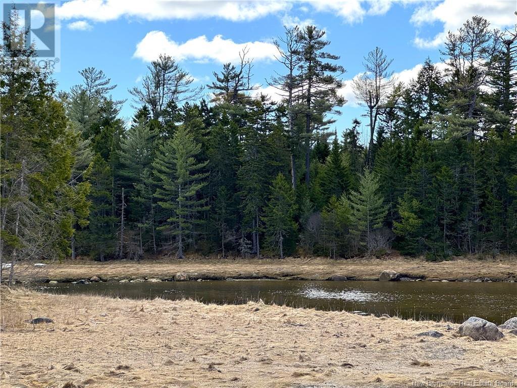000 Hannah Road, Oak Haven, New Brunswick  E3L 3S3 - Photo 14 - NB116367