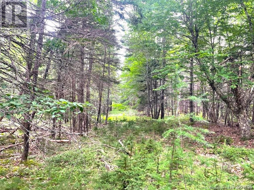 000 Hannah Road, Oak Haven, New Brunswick  E3L 3S3 - Photo 16 - NB116367