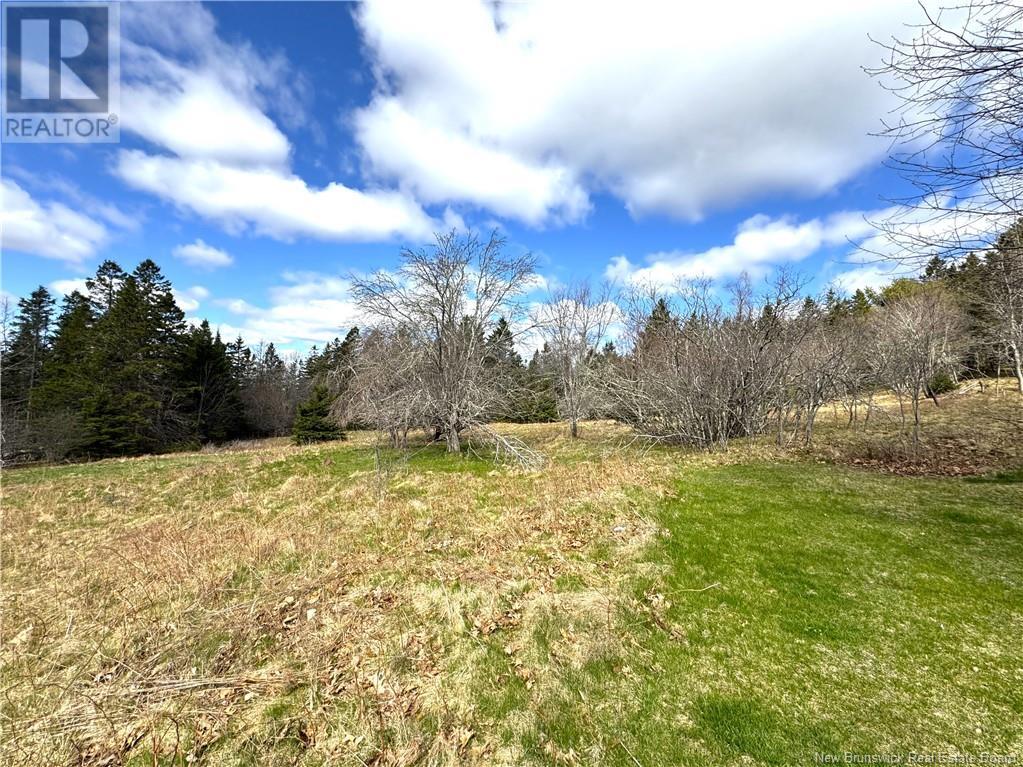000 Hannah Road, Oak Haven, New Brunswick  E3L 3S3 - Photo 19 - NB116367