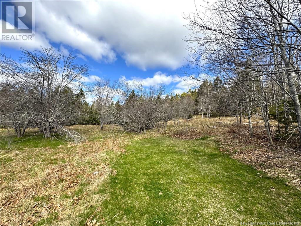 000 Hannah Road, Oak Haven, New Brunswick  E3L 3S3 - Photo 21 - NB116367