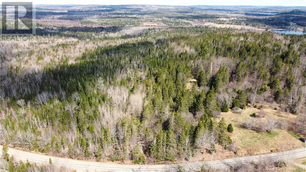 000 Hannah Road, Oak Haven, New Brunswick  E3L 3S3 - Photo 22 - NB116367
