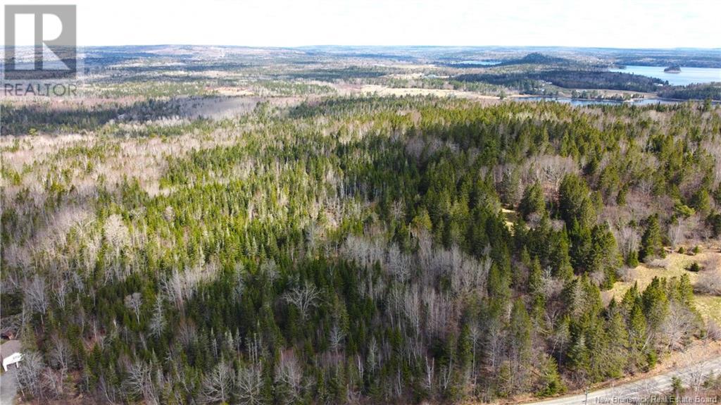 000 Hannah Road, Oak Haven, New Brunswick  E3L 3S3 - Photo 23 - NB116367
