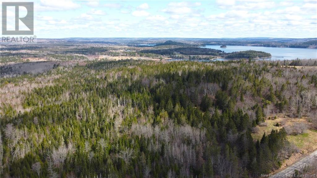 000 Hannah Road, Oak Haven, New Brunswick  E3L 3S3 - Photo 24 - NB116367