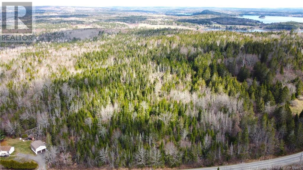 000 Hannah Road, Oak Haven, New Brunswick  E3L 3S3 - Photo 25 - NB116367