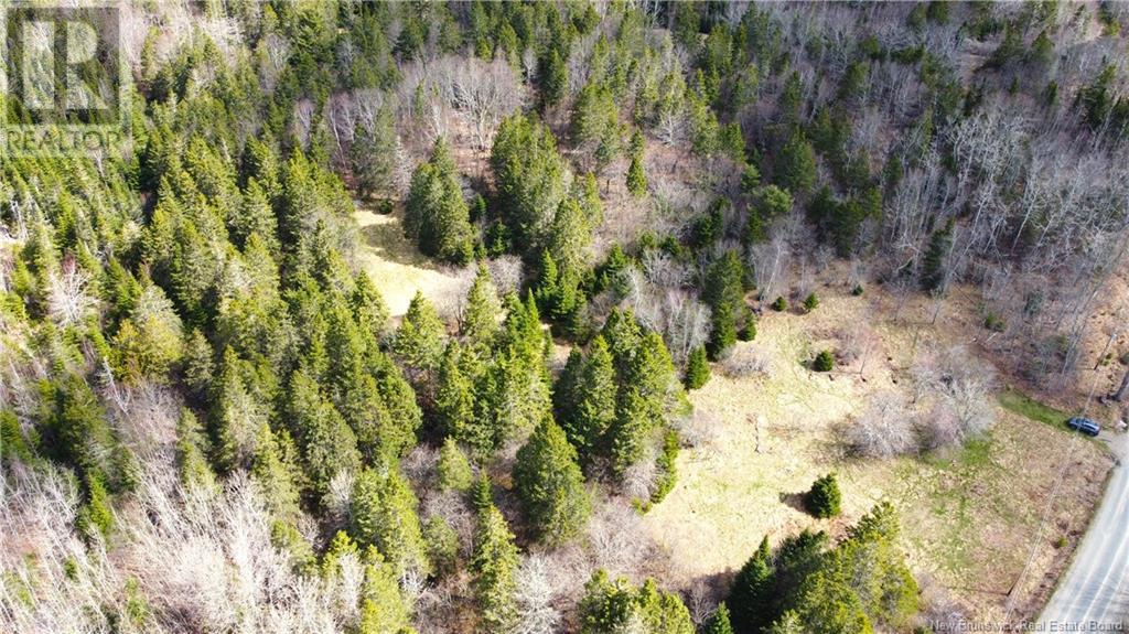 000 Hannah Road, Oak Haven, New Brunswick  E3L 3S3 - Photo 26 - NB116367
