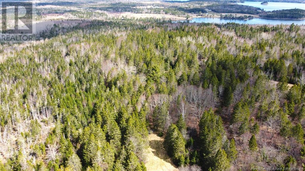 000 Hannah Road, Oak Haven, New Brunswick  E3L 3S3 - Photo 27 - NB116367