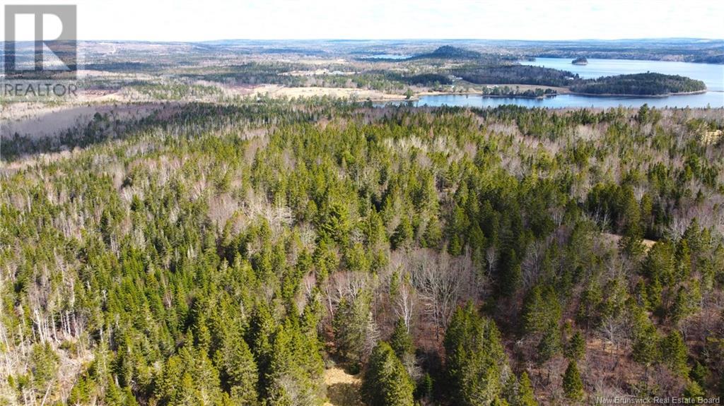 000 Hannah Road, Oak Haven, New Brunswick  E3L 3S3 - Photo 28 - NB116367