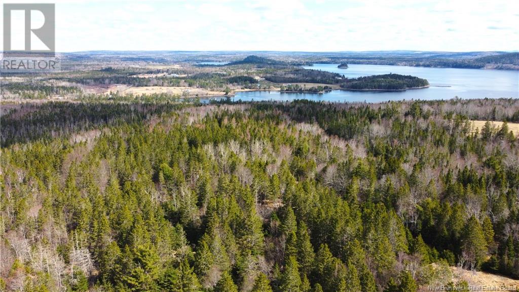 000 Hannah Road, Oak Haven, New Brunswick  E3L 3S3 - Photo 29 - NB116367