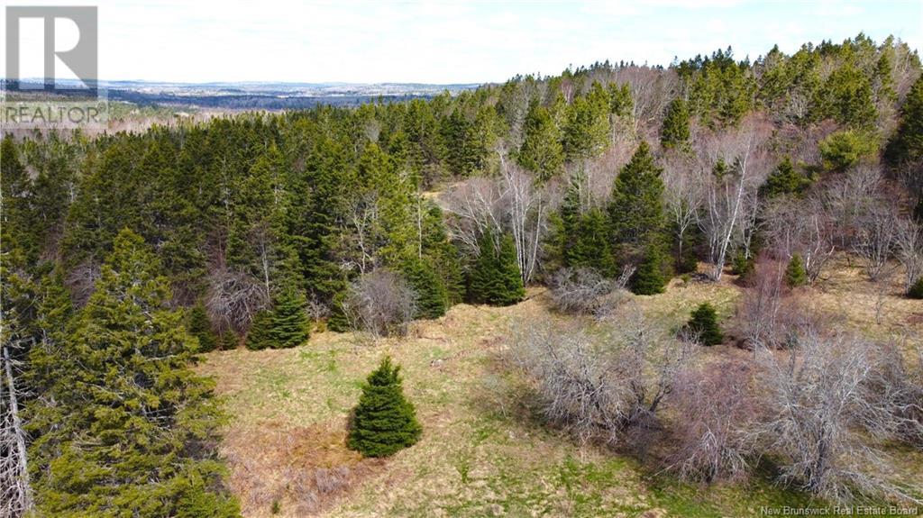 000 Hannah Road, Oak Haven, New Brunswick  E3L 3S3 - Photo 30 - NB116367