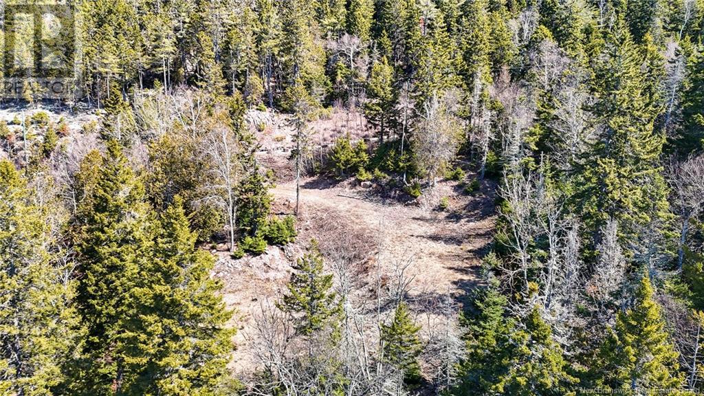 00 Osprey Drive, Chamcook, New Brunswick  E5B 0E9 - Photo 14 - NB116619