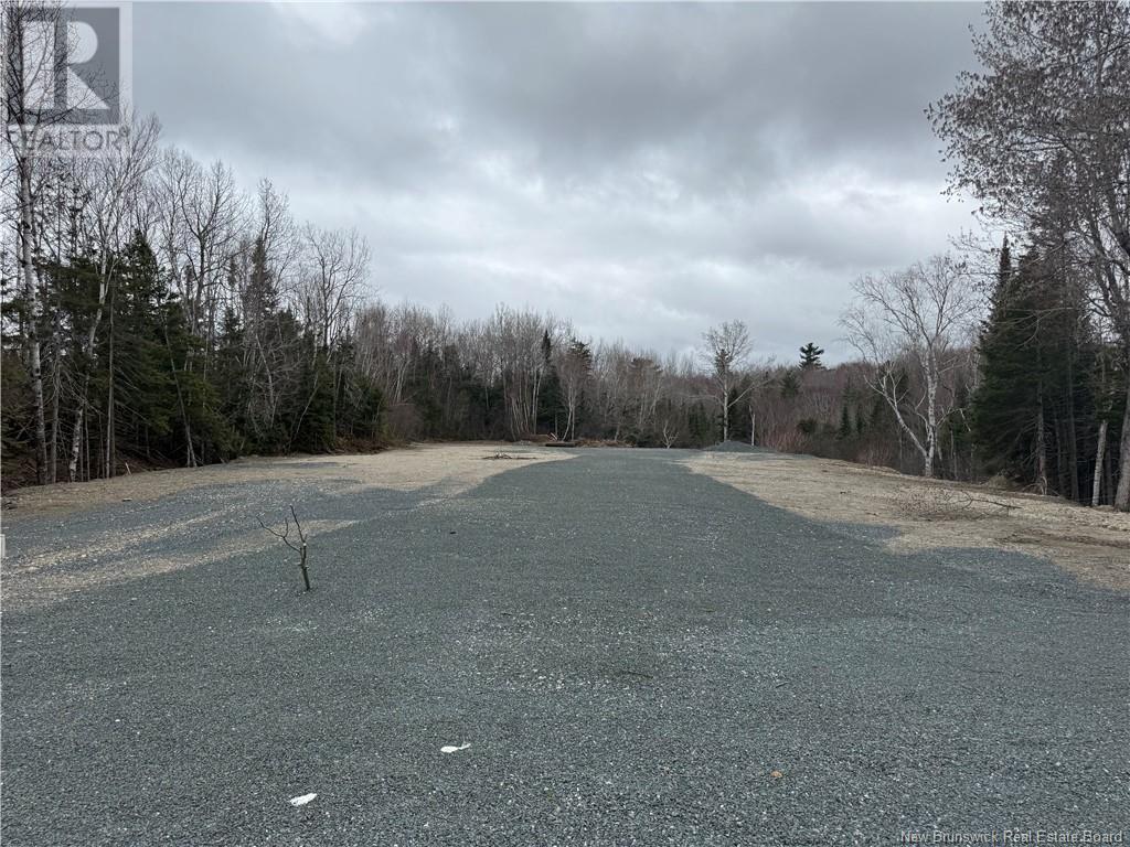 Lot Route 420, South Esk, New Brunswick  E1V 4M1 - Photo 3 - NB117149