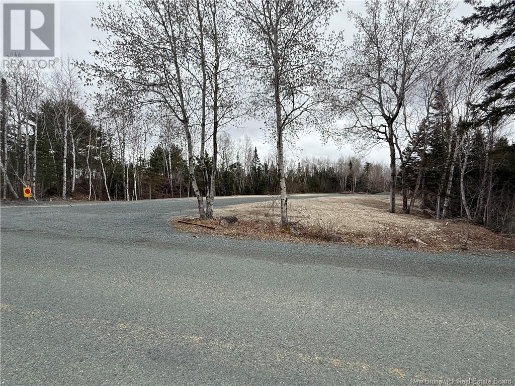 Lot Route 420, South Esk, New Brunswick  E1V 4M1 - Photo 4 - NB117149