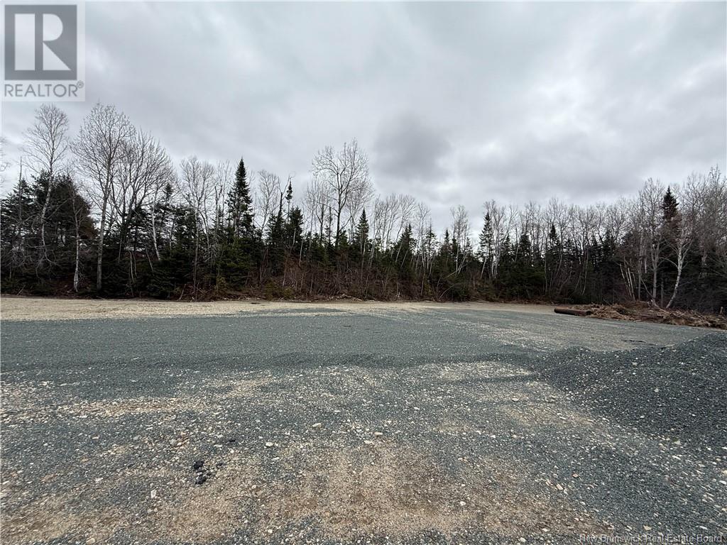 Lot Route 420, South Esk, New Brunswick  E1V 4M1 - Photo 5 - NB117149