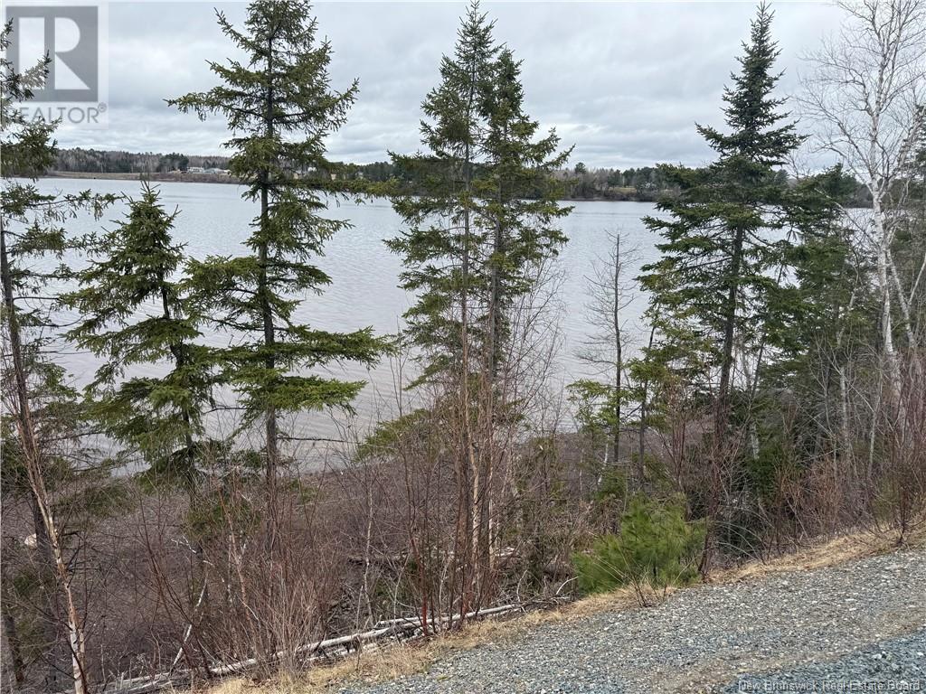 Lot Route 420, South Esk, New Brunswick  E1V 4M1 - Photo 6 - NB117149