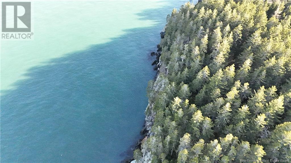 Lot Route 772, Hibernia Cove, New Brunswick  E5V 1L7 - Photo 12 - NB115738