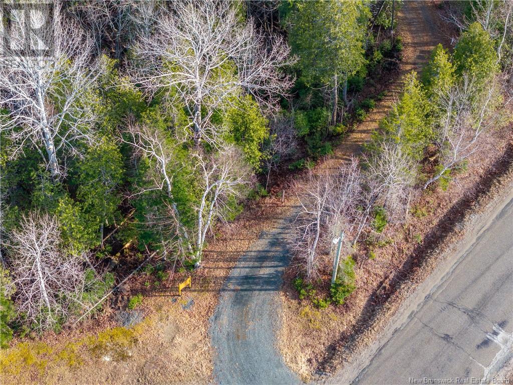 721 Back Road, Lyttleton, New Brunswick  E9E 1X6 - Photo 49 - NB117139