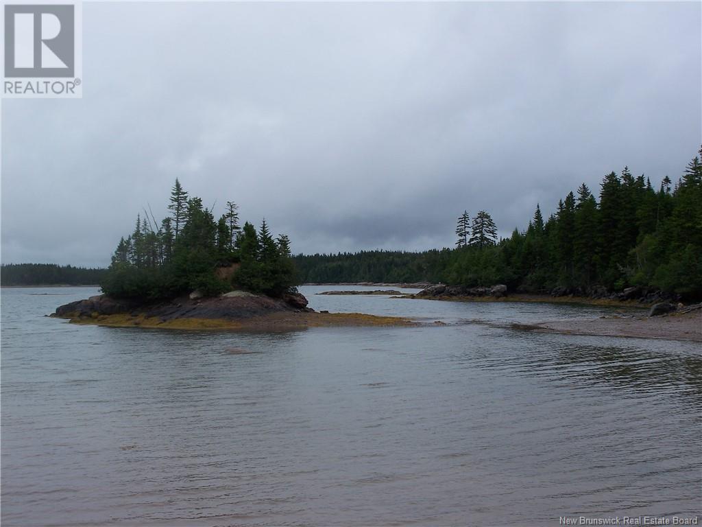 Off Boyne Road, Little Lepreau, New Brunswick  E5J 1R2 - Photo 3 - NB117160