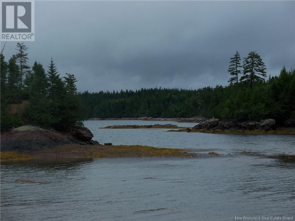 Off Boyne Road, Little Lepreau, New Brunswick  E5J 1R2 - Photo 4 - NB117160