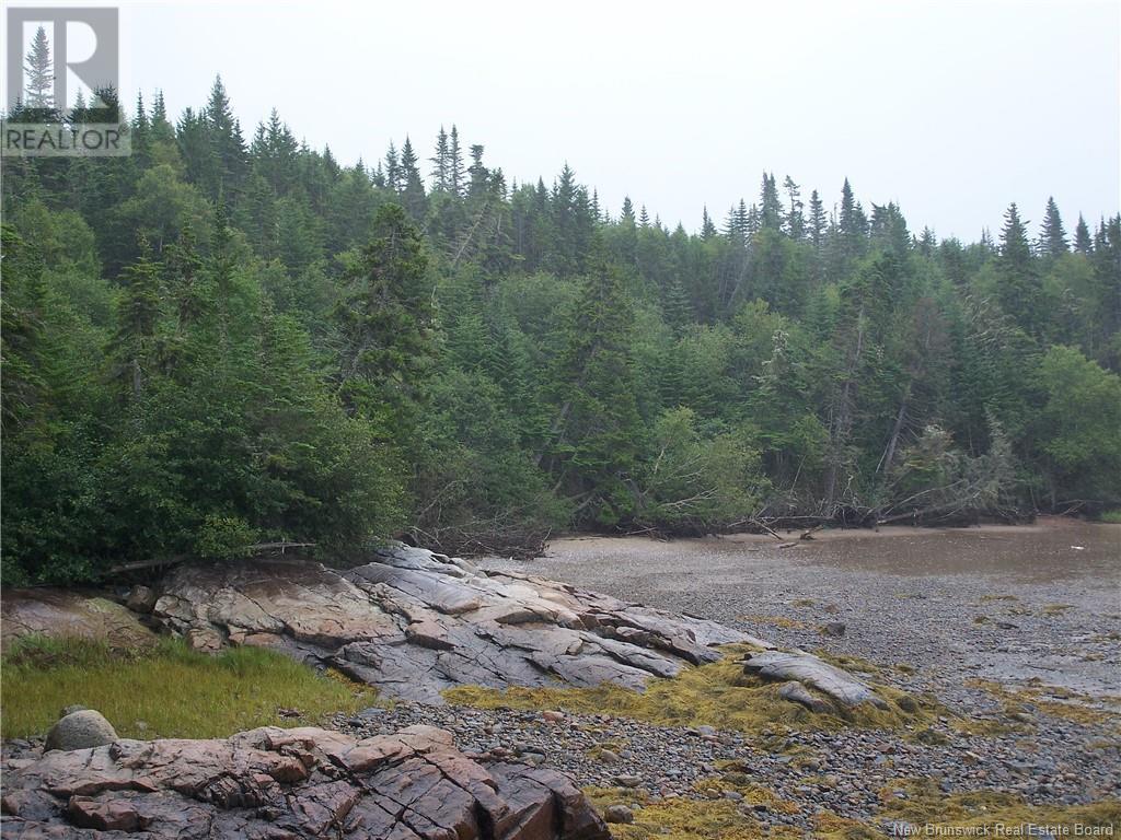Off Boyne Road, Little Lepreau, New Brunswick  E5J 1R2 - Photo 5 - NB117160