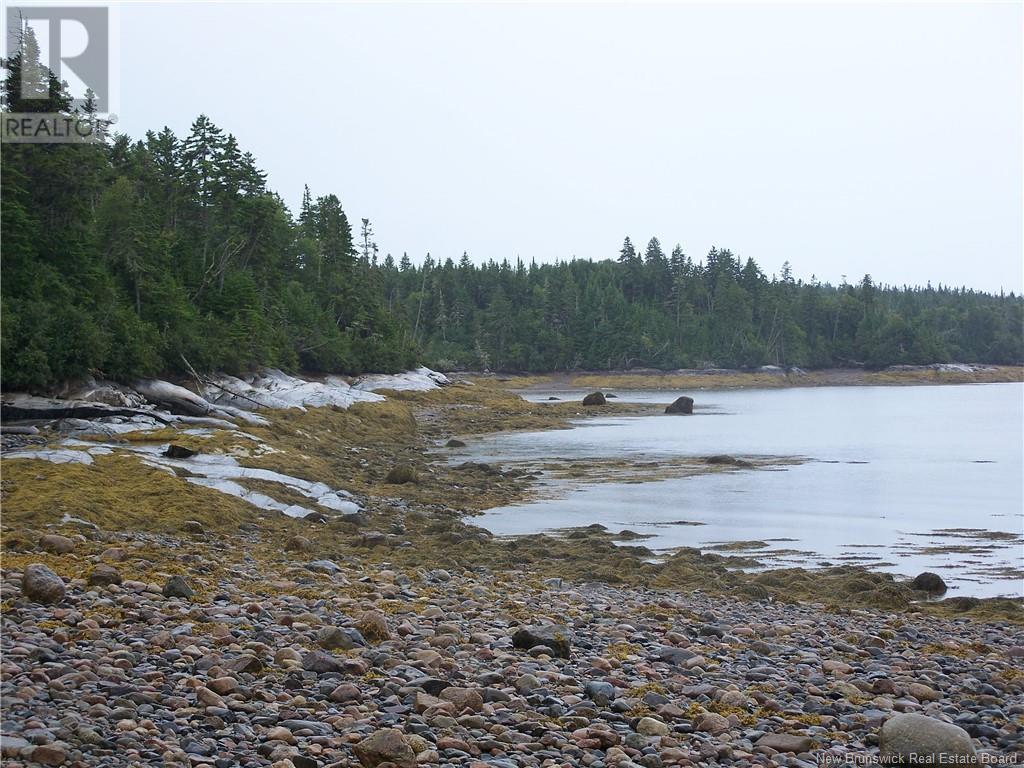 Off Boyne Road, Little Lepreau, New Brunswick  E5J 1R2 - Photo 6 - NB117160