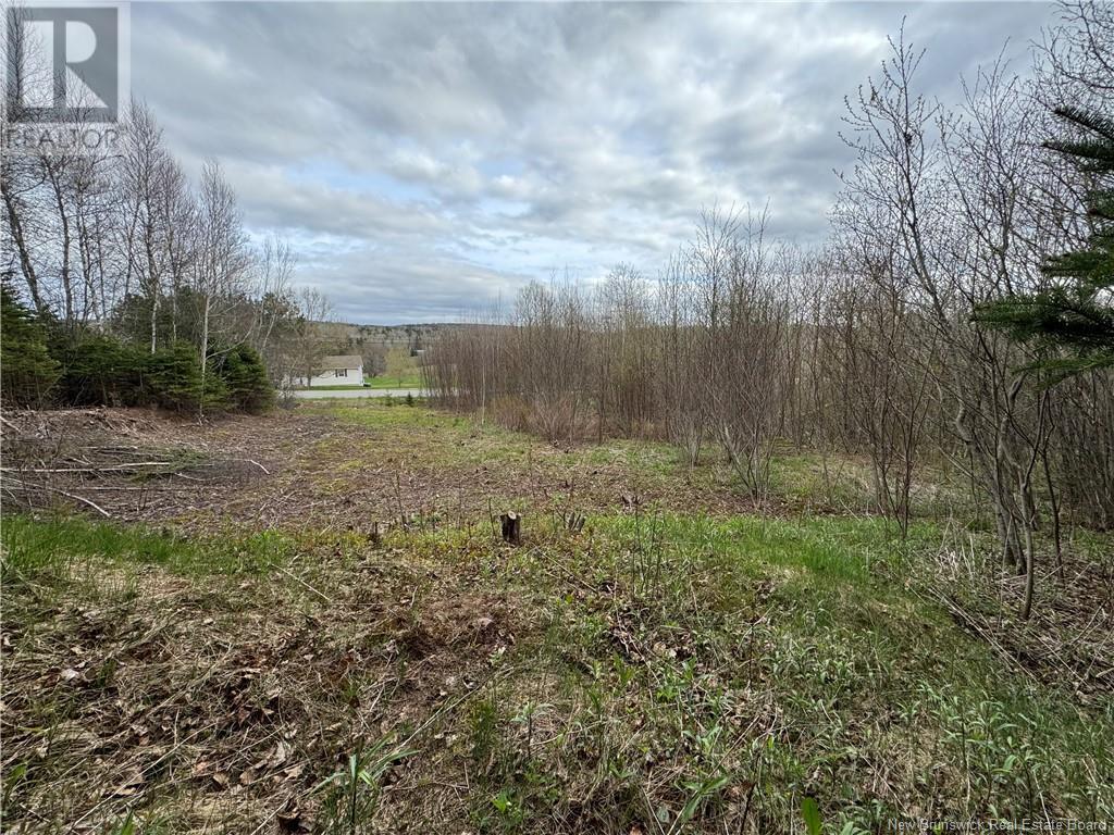 2019 Route 121, Norton, New Brunswick  E5T 1E7 - Photo 4 - NB117105