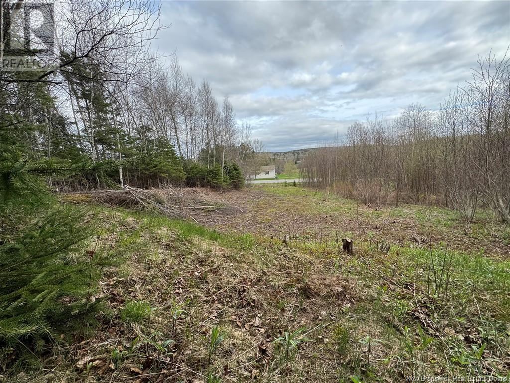 2019 Route 121, Norton, New Brunswick  E5T 1E7 - Photo 8 - NB117105