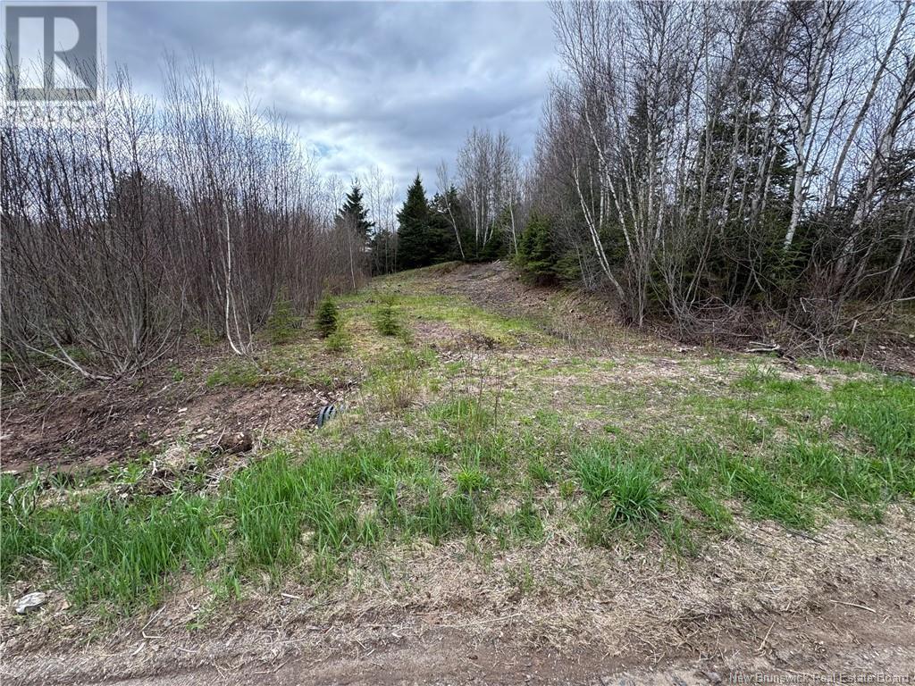 2019 Route 121, Norton, New Brunswick  E5T 1E7 - Photo 9 - NB117105