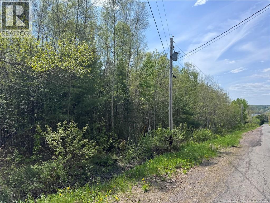 Lot Bridge Drive, Cambridge-Narrows, New Brunswick  E4C 1W3 - Photo 12 - NB117163