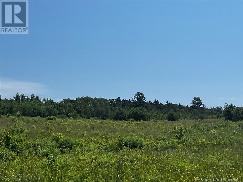Lot Bridge Drive, Cambridge-Narrows, New Brunswick  E4C 1W3 - Photo 4 - NB117163