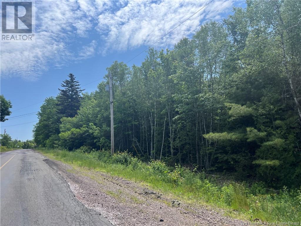 Lot Bridge Drive, Cambridge-Narrows, New Brunswick  E4C 1W3 - Photo 5 - NB117163
