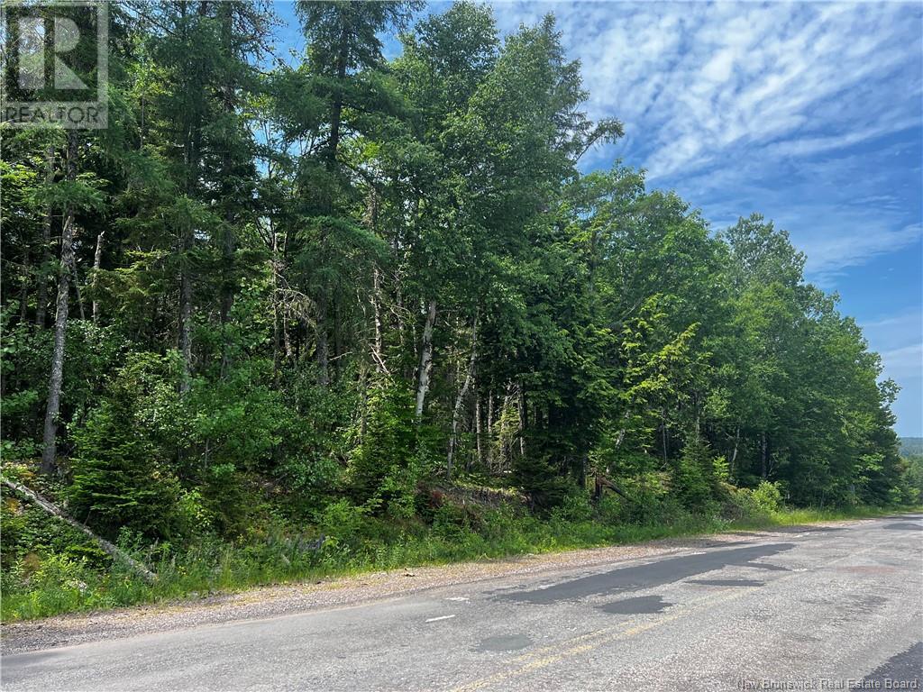 Lot Bridge Drive, Cambridge-Narrows, New Brunswick  E4C 1W3 - Photo 6 - NB117163