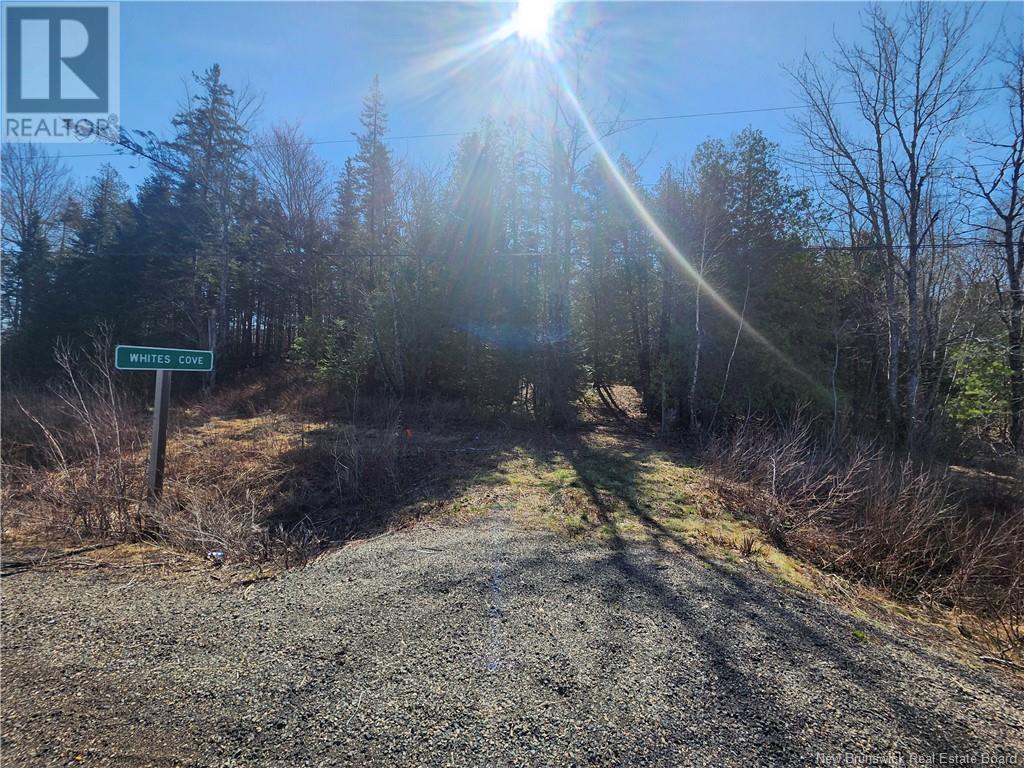 Vacant Lot Route 695, Whites Cove, New Brunswick  E4C 2B7 - Photo 3 - NB117161