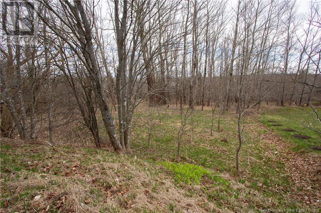 32 Queens Road, Sackville, New Brunswick  E4L 4G6 - Photo 42 - NB117107