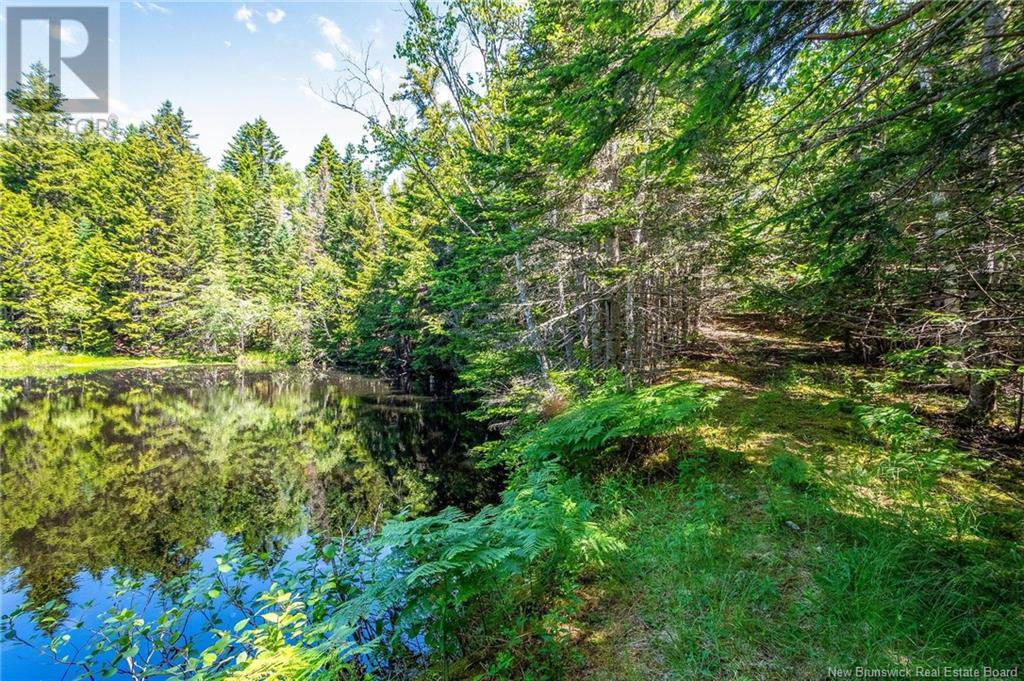4158 Route 114, Hopewell Cape, New Brunswick  E4H 3K2 - Photo 48 - NB117236