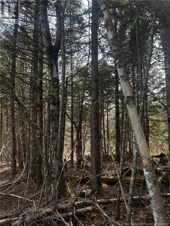 Rte 114, Mechanic Settlement, New Brunswick