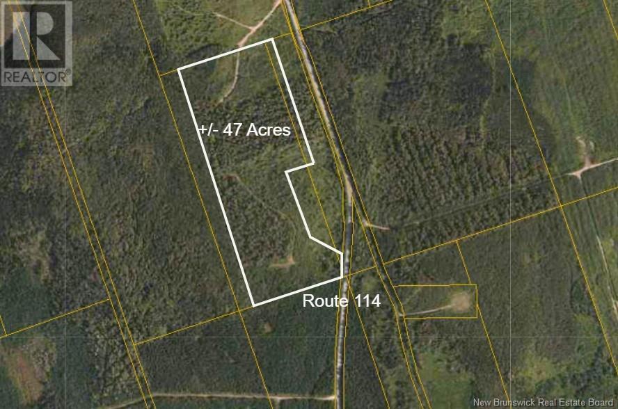 Rte 114, Mechanic Settlement, New Brunswick  E4E 4K8 - Photo 4 - NB117274