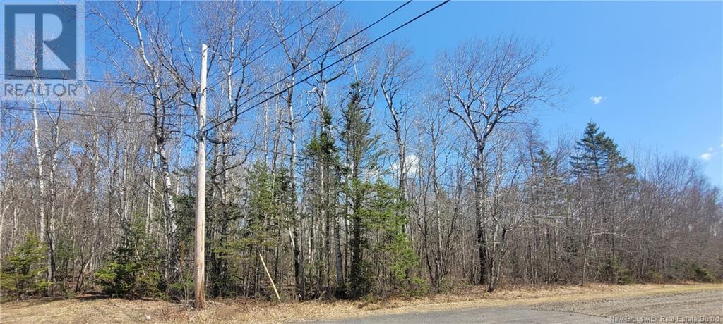 28 Green Drive, New Zion, New Brunswick