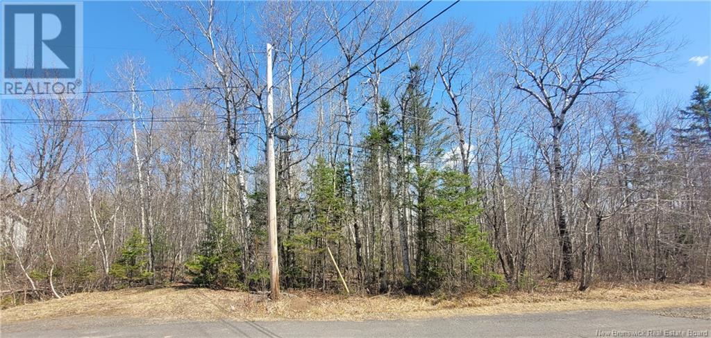 28 Green Drive, New Zion, New Brunswick  E4B 1B4 - Photo 2 - NB117281
