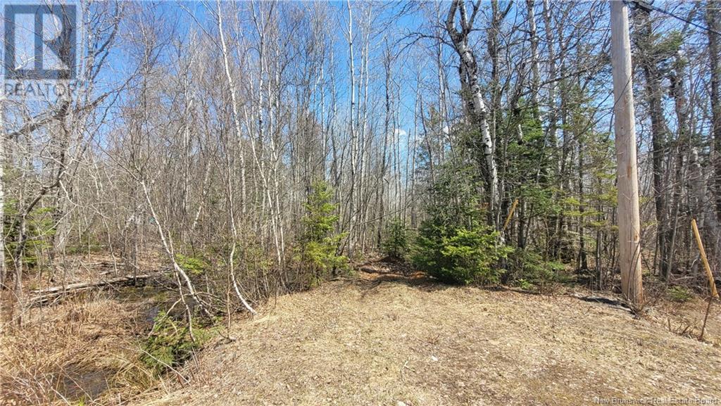 28 Green Drive, New Zion, New Brunswick  E4B 1B4 - Photo 3 - NB117281
