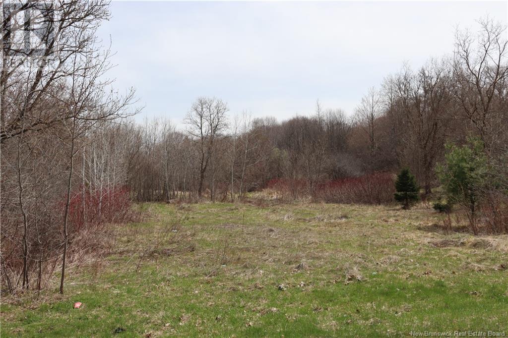 Lot Union Street, Sussex, New Brunswick  E4E 1W1 - Photo 4 - NB117323