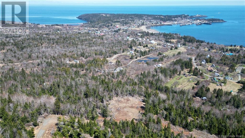 Lot 15-04 Ohio Pond Road, Grand Manan, New Brunswick  E5G 4B4 - Photo 1 - NB117251