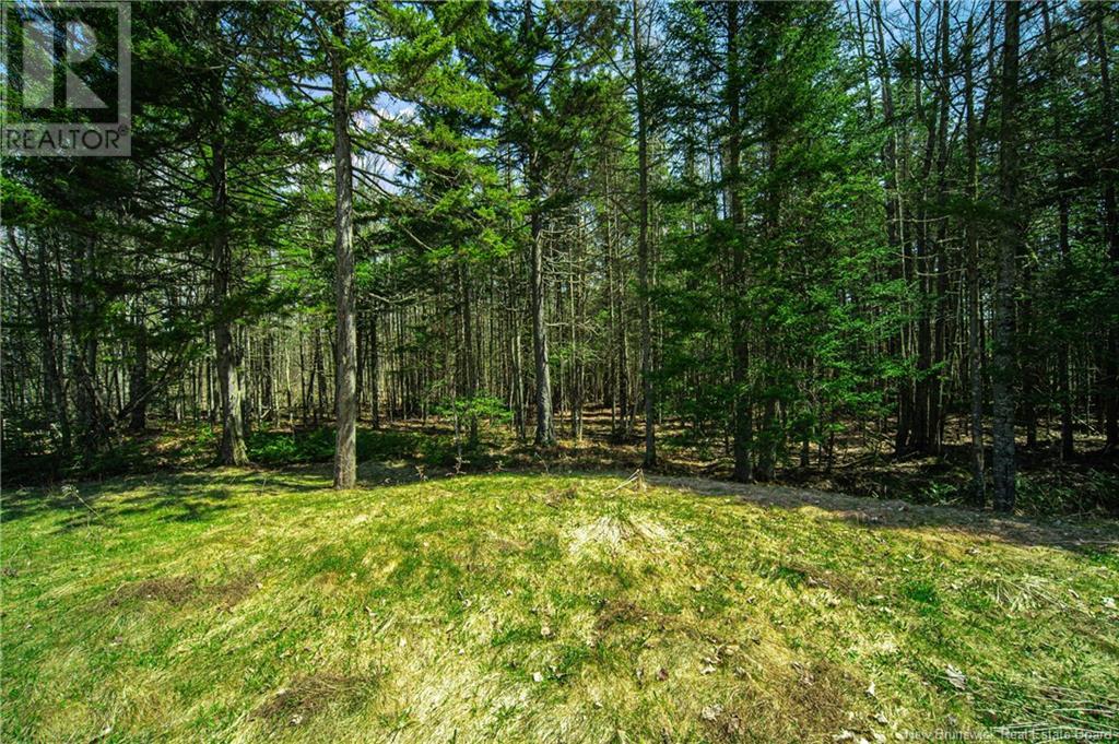 92 Route 148, Killarney Road, New Brunswick  E3G 9G1 - Photo 33 - NB117372