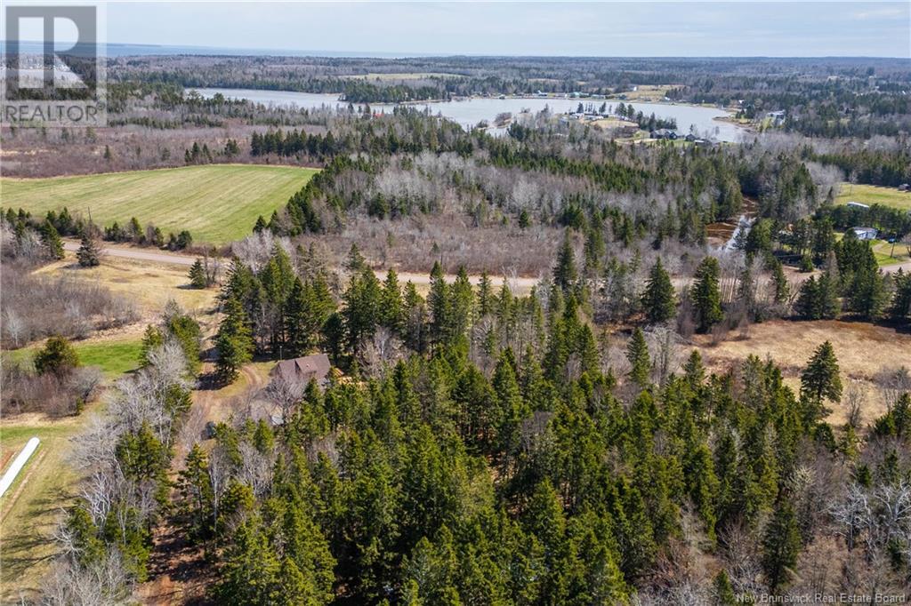925 Route 970, Baie Verte, New Brunswick  E4M 1Z6 - Photo 38 - NB117361