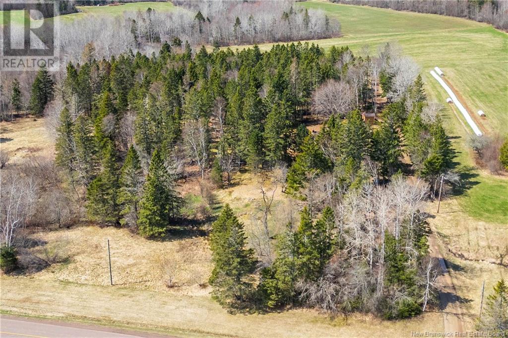925 Route 970, Baie Verte, New Brunswick  E4M 1Z6 - Photo 39 - NB117361