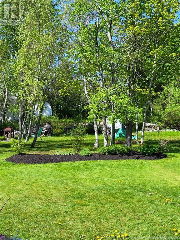 32 Woodlawn Avenue, Moncton, New Brunswick  E1E 2J9 - Photo 41 - NB117202
