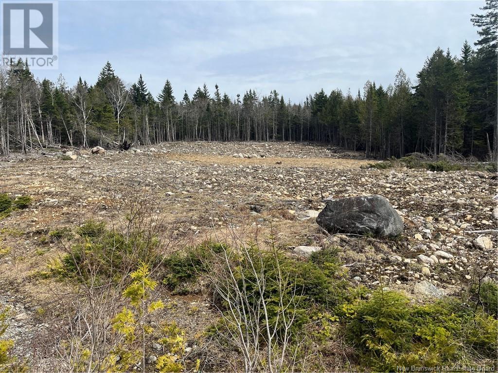Emerald Lake Road, Saint John, New Brunswick  E2N 0E4 - Photo 4 - NB117314